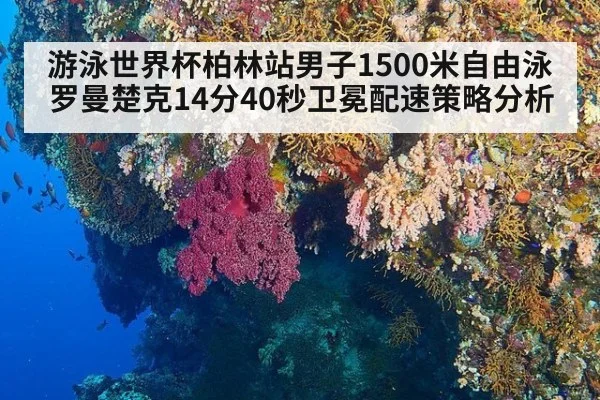 游泳世界杯柏林站男子1500米自由泳罗曼楚克14分40秒卫冕配速策略分析